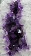Dark Amethyst Geode From Brazil - lbs #34436-4